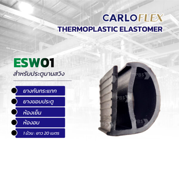 Esw 01