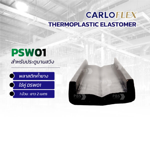 Psw 01