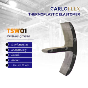 Tsw 01
