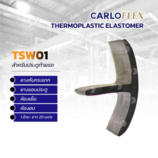 Tsw 01