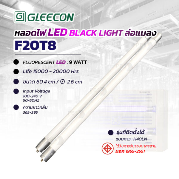 Blacklight 06